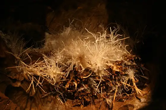 Ochtinská Aragonite Cave
